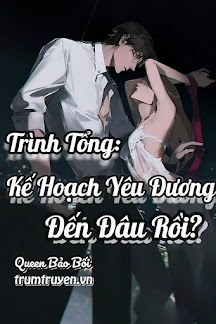 Trình Tổng: Kế Hoạch Yêu Đương Đến Đâu Rồi?