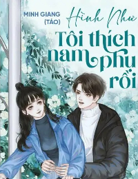 Hình Như Tôi Thích Nam Phụ Rồi