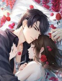 Mối Tình Đầu Của Siêu Sao Đã Trở Về -  Khương Ninh