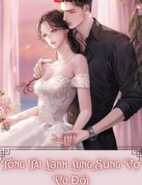 Tổng Tài Lạnh Lùng Sủng Vợ Vô Đối - An Khánh San