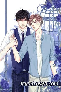 Sau Khi Xuyên Đến Show Tuyển Tú, Tôi Trở Thành Vạn Nhân Mê