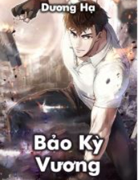 Truyện Bảo kỳ vương - Dương Hạ - Trần Bảo Kỳ
