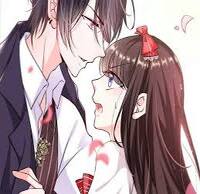 Hôn Nhân Đỉnh Cấp